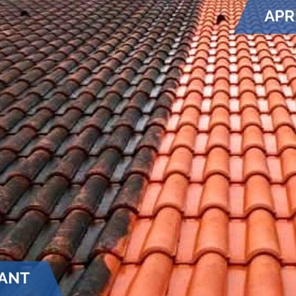 nettoyage toiture Arles réalisation d'un nettoyage de toiture par nos artisans couvreur a Arles